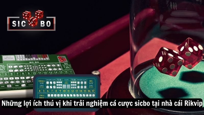 sicbo 3 Những lợi ích thú vị khi trải nghiệm cá cược sicbo tại nhà cái Rik vip