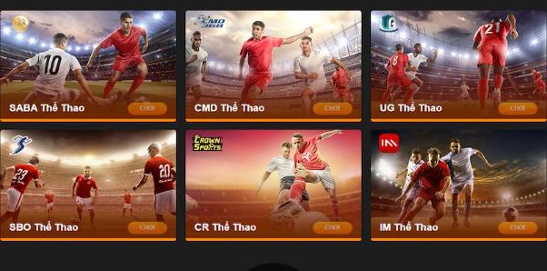 Cá Cược Thể Thao – Bản Lĩnh Tay Chơi